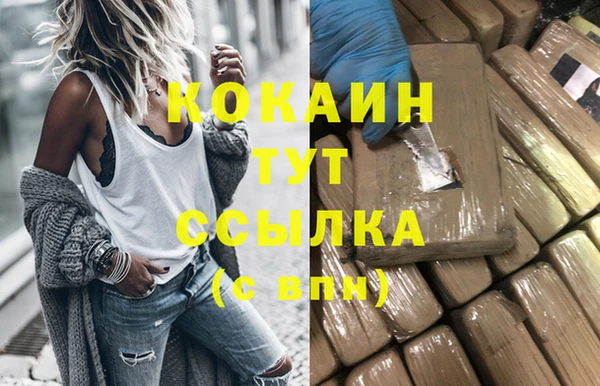сатива Осташков