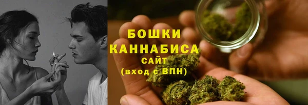 ALPHA PVP Няндома
