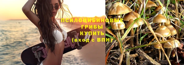 spice Валдай