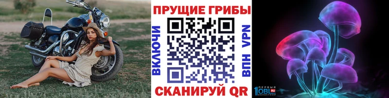 это как зайти  Тайга  Псилоцибиновые грибы мицелий 